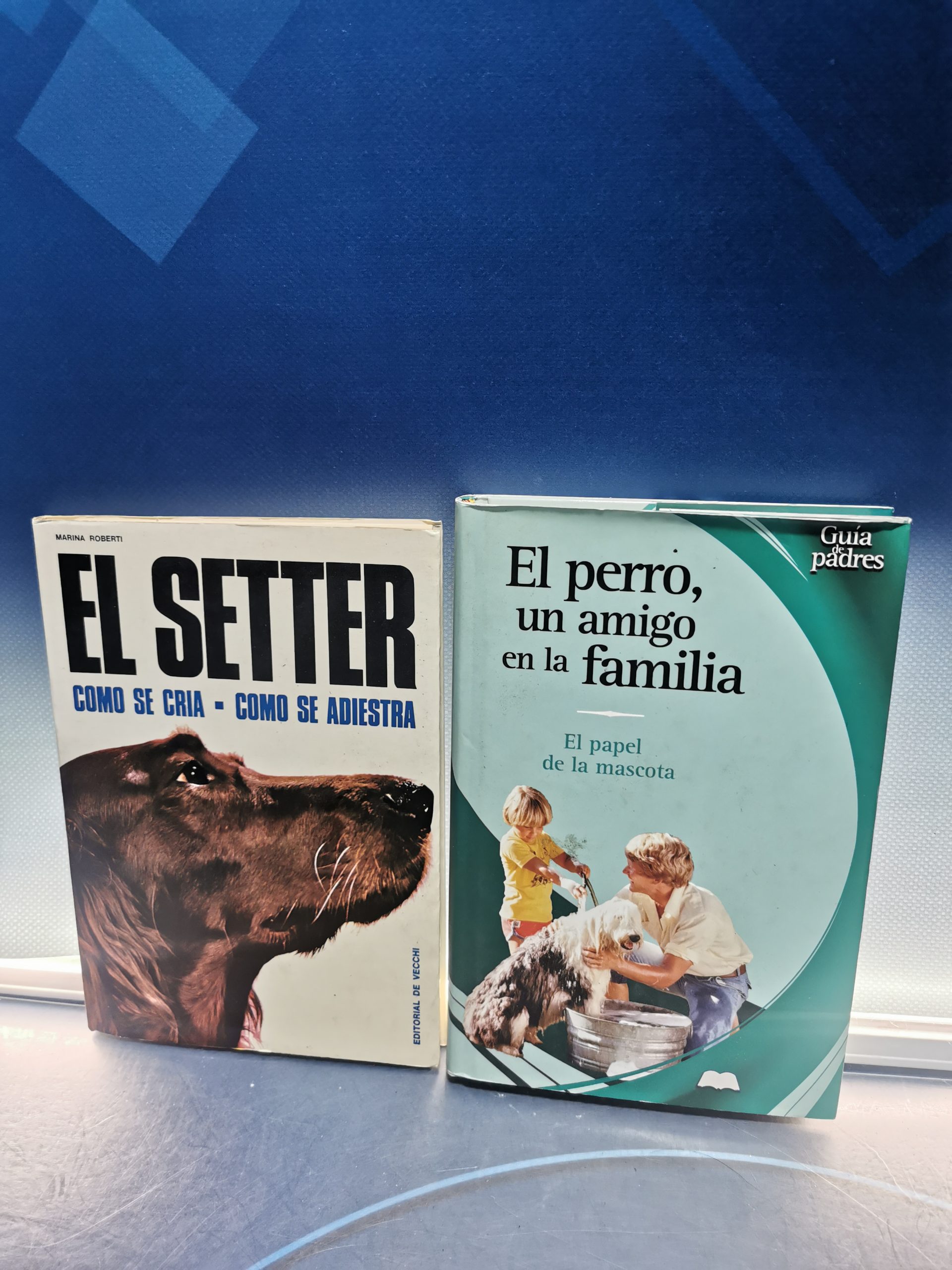 IMG_20230322_124257 Dos libros sobre perros, EL SETTER, EL PERRO UN AMIGO EN LA FAMILIA - Imagen 1