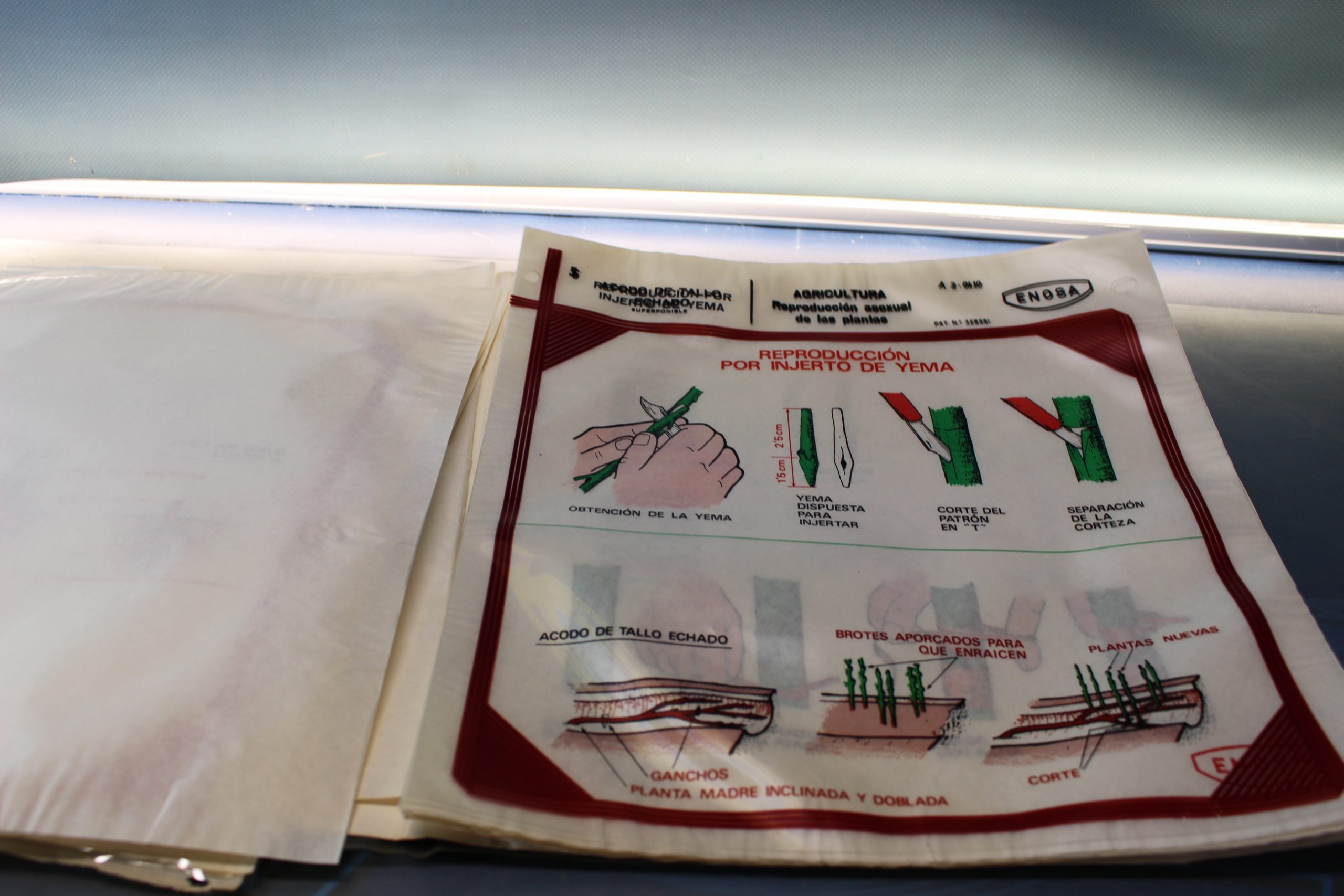 Transparencias de Enosa para Enoscop. Agricultura