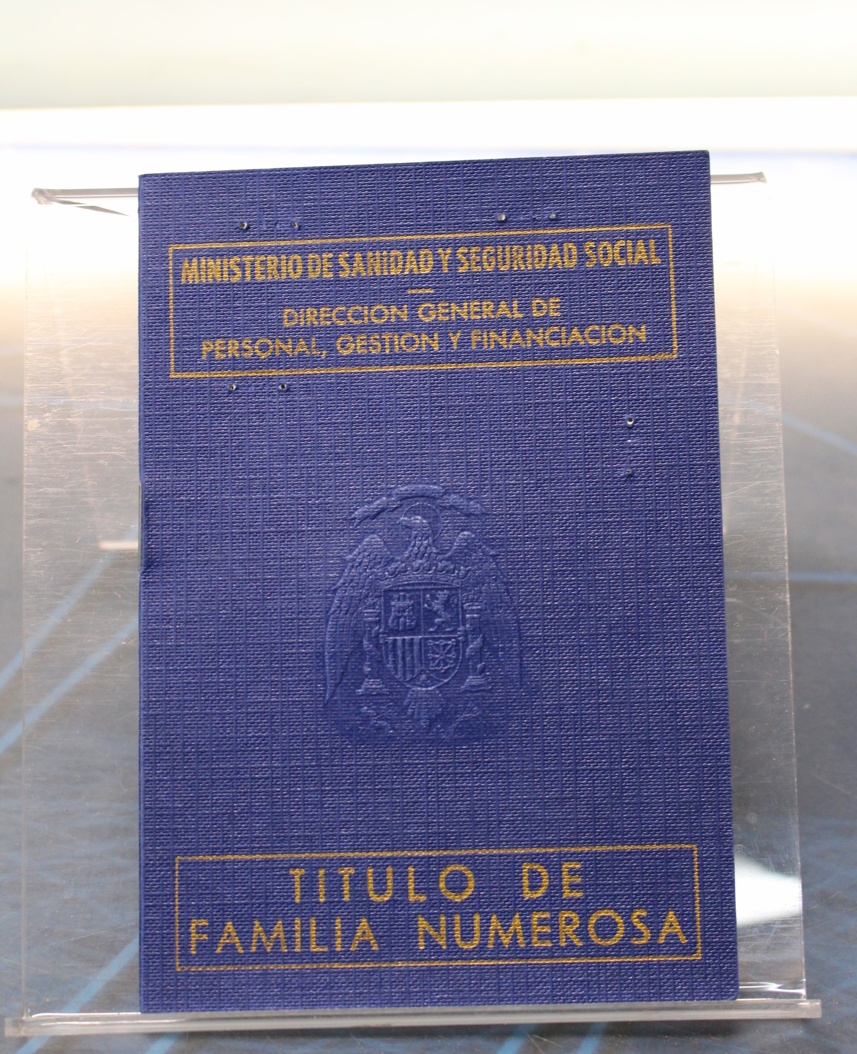Título de Familia Numerosa. Ministerio de Sanidad y Seguridad Social. 1981.