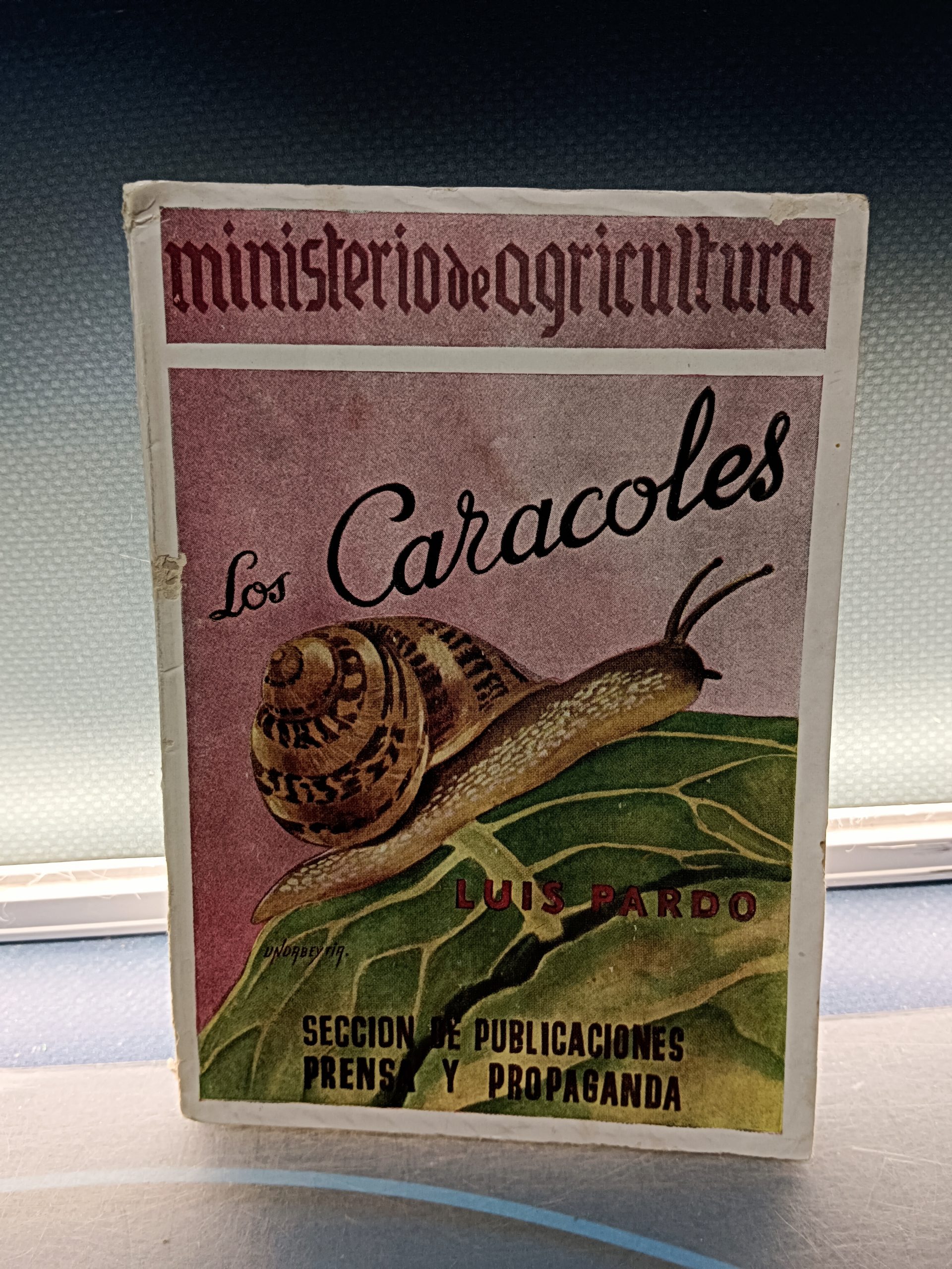 IMG_20240829_154811 MINISTERIO DE AGRICULTURA, LOS CARACOLES, Luis Pardo - Imagen 1