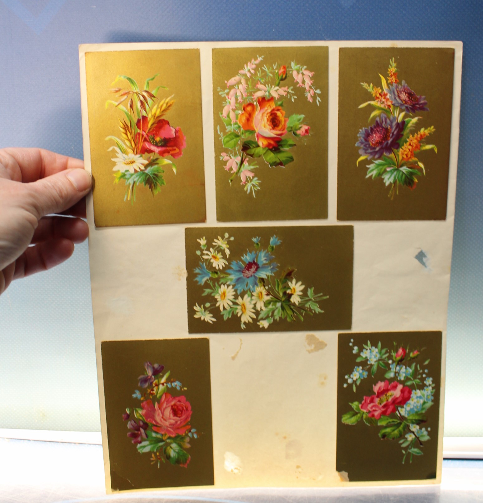 IMG_4646 Cromos, estampas antiguas flores en fondo dorado 1900 - 1920. - Imagen 1