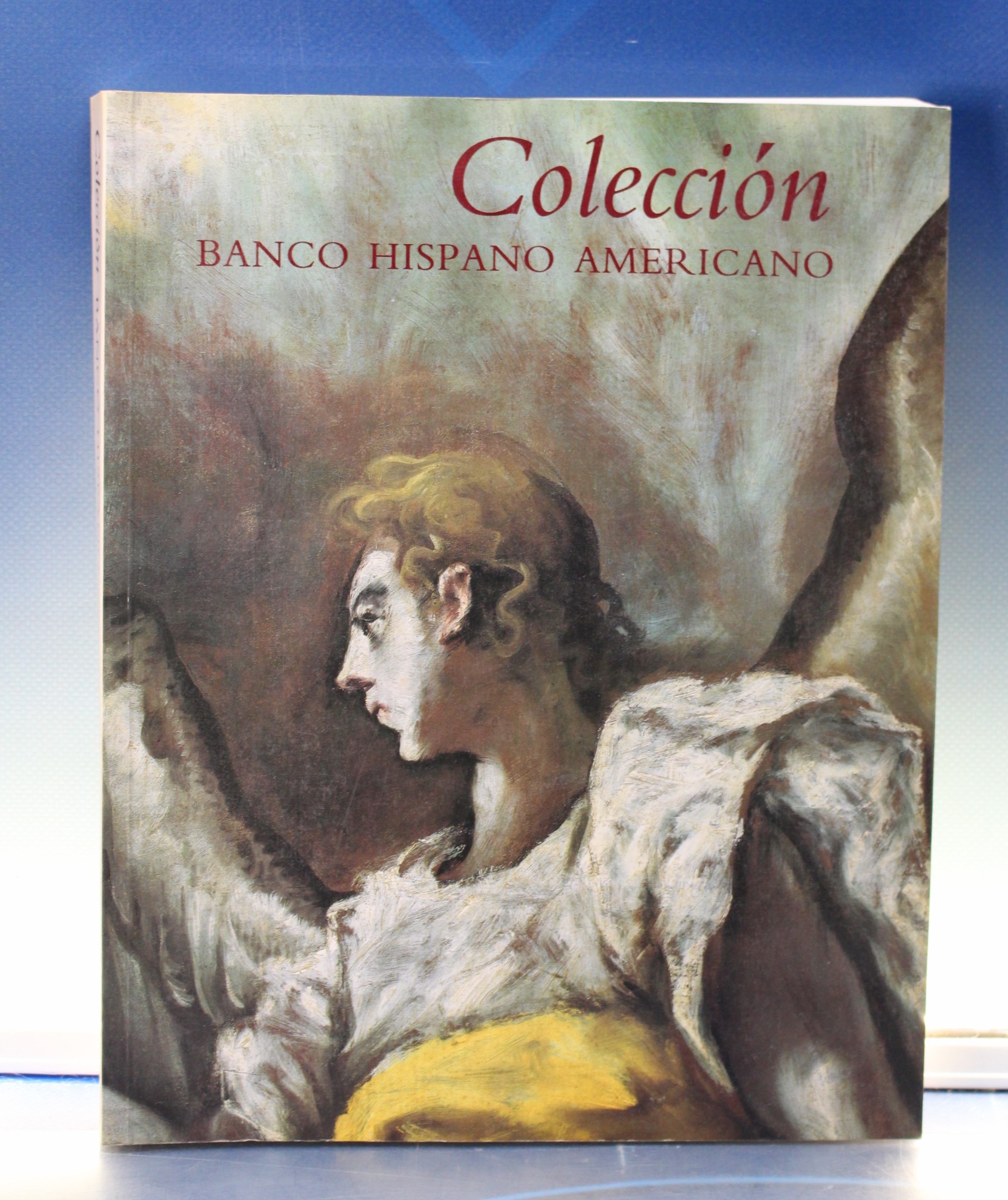 Libros de arte. Colección Banco Hispano Americano. 1991.