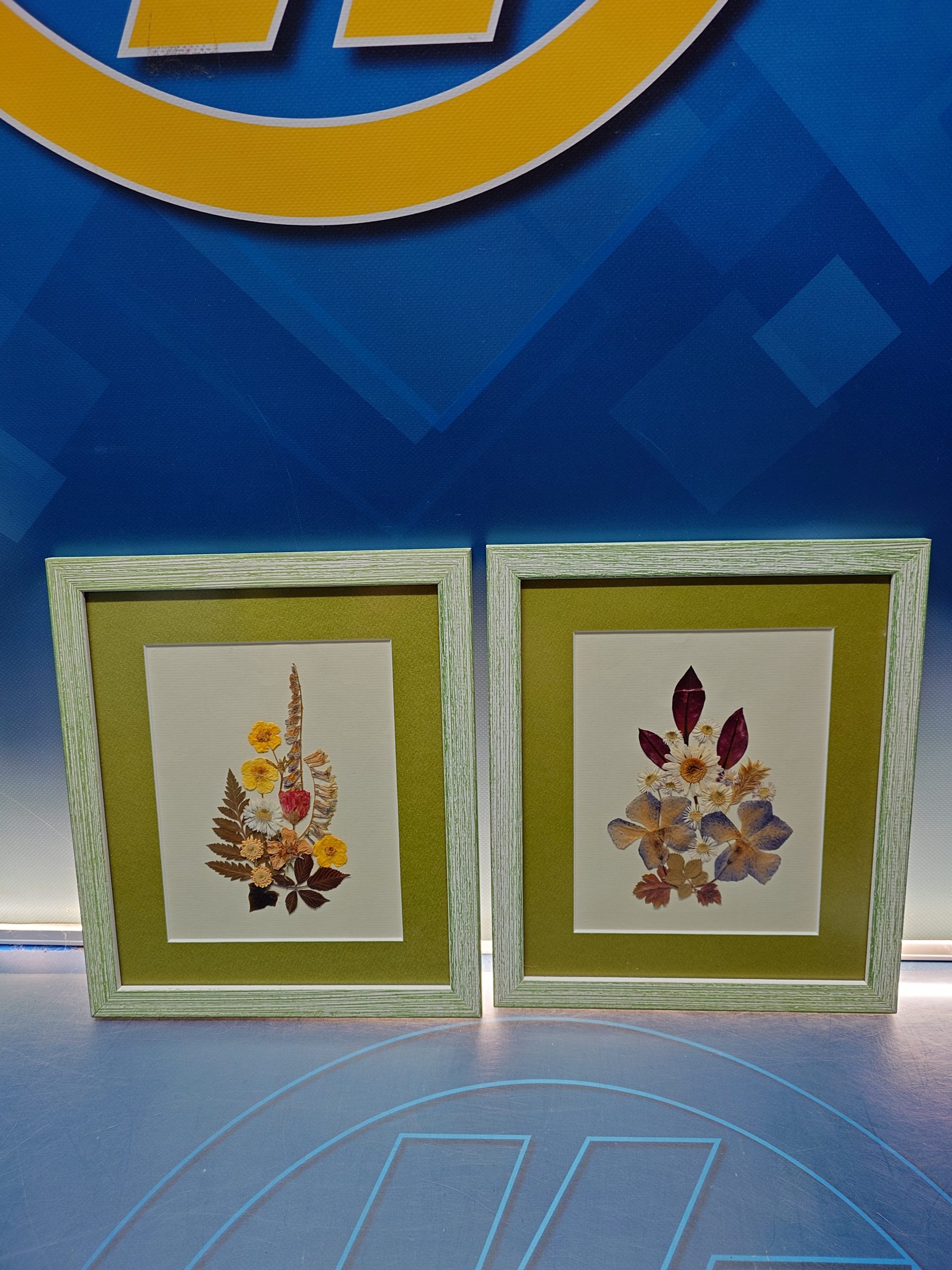 2 Cuadros Arte Floral Vintage