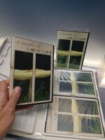 El mundo de las setas 4 DVD,s, nuevo precintado (los dvds) - Imagen 2