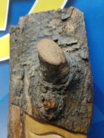 Tabla, escultura artesanal tallada en madera , decoración 43x15x03 cm - Imagen 9