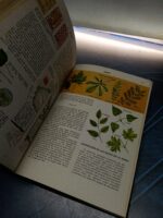 Enciclopedia de las CIENCIAS NATURALES – COMPLETA 4 TOMOS EDITORIAL BRUGUERA 1962 - Imagen 7