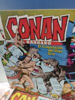 comics, grapas, CONAN Nº 68 A 81 (ETAPA COMPLETA DE BARRY W SMITH) forum, marvel - Imagen 7