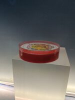 Cartas heraclio Fournier Baraja redonda, nueva - Imagen 7