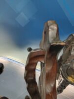 CANDELABROS DE PARED, o apliques para velas, diseño rustico, ideal para una bodega - Imagen 8