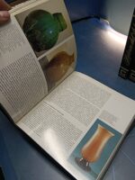 ENCICLOPEDIA. Historia del Arte. 8 Tomos. Biblioteca Cultural Carroggio. - Imagen 9