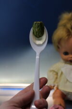 Muñeca Tábata de Vicma. Años 60. - Imagen 6