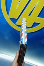 Cuento infantil en japonés el viaje mundial del conejo Félix - Imagen 3