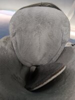 Botas de adulto nórdica talla 43-44 (260-265) - Imagen 5