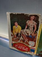 7 novelas PULP , Lagrimas para patricia, El elefante blanco, Después de medianoche y mas - Imagen 5