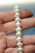 Gargantilla, collar de perlas cultivadas de agua dulce, China. En su caja de madera. - Imagen 4