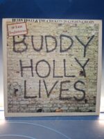 Disco, LP  Buddy Holly & The Crickets 20 Golden Greats