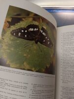 Mariposas de la península ibérica I, II, Miguel P. Gómez Bustillo + PEQUEÑO LIBRO DE MARIPOSAS - Imagen 4