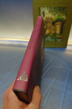 Dos libros, El Castillo de Butrón: Romanticismo - Imagen 11