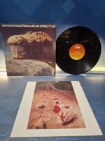 Disco, Lp, Blue Öyster Cult, Cultösaurus Erectus, 1980 - Imagen 4