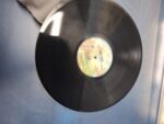 Disco, Lp, Skyhooks, Ego Is Not A Dirty Word, 1975 - Imagen 4