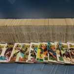 libros, 84 novelas del oeste- EL COYOTE DE J. MALLORQUIN