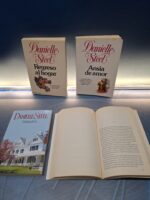 Lote 4 Libros Danielle Stell - Imagen 4