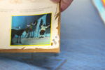 Álbum de cromos: Don Quijote de la Mancha. Danone, 1978. Incompleto. - Imagen 11