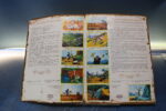 Álbum de cromos: Don Quijote de la Mancha. Danone, 1978. Incompleto. - Imagen 8